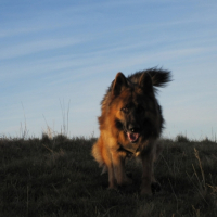 Photo #210997 de Rencontré lors d'une ballade...