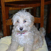 Photo #211116 de Athena
