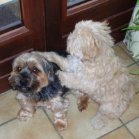 Photo #211128 de Athena