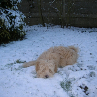 Photo #211132 de Athena