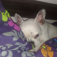 Photo #211135 de Bianka