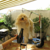 Photo #211138 de Athena