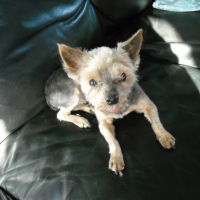 Photo #211221 de Lady