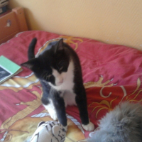 Photo0429