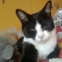 Photo0432