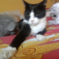 Photo0433