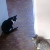 Photo0434