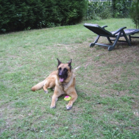 Photo #211420 de Rosco