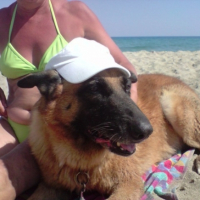 Photo #211422 de Rosco