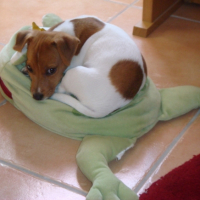 Photo #211477 de Elliot