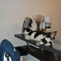 Photo #211521 de Denver