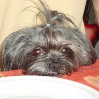 Photo #211543 de Venus