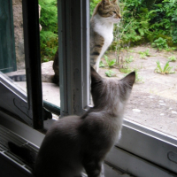 Photo #211658 de Naboo