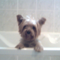 Photo #211687 de Sally