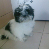 pepsi le 28/10/2009