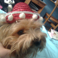 Photo #211709 de Sally