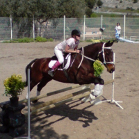 Photo #211746 de Favoride miserey