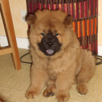 Mon bébé à 3 mois