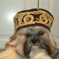 Photo #211831 de Doty