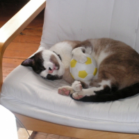 Photo #211915 de Noa