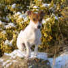 janvier2009_0003