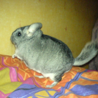 Photo #211925 de Bouly