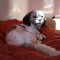 Photo #211963 de Maya