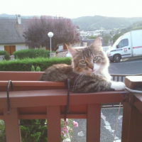 Photo #211971 de Mingris