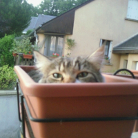 Photo #211973 de Mingris