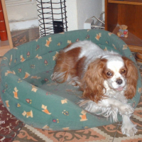 Photo #212002 de Pritty