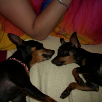 Photo #212028 de Small