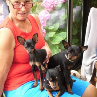 Photo #212029 de Small