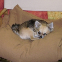 Photo #212030 de Babou