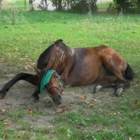 Photo #212129 de Lucky
