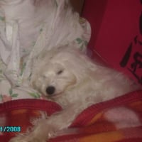 PICT0368