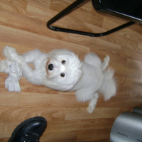 DSC00050