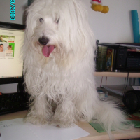 Photo #212212 de Caramel