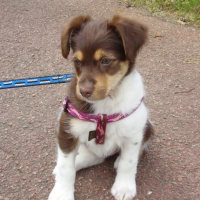 Photo #212245 de Channel