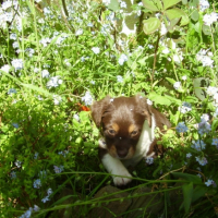 Photo #212251 de Channel