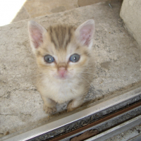 Photo #212262 de Ceejay