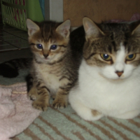 Photo #212280 de Praline