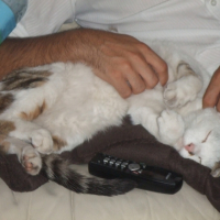 j'adore les calins!!!