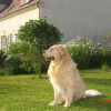 Mon bébé d'amour