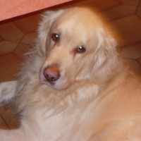 Photo #212466 de Rolly