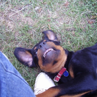 Photo #212495 de Kannel
