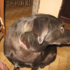 PHOTO1_028