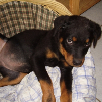 Photo #212574 de Ulka