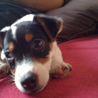 Photo #212669 de Denver