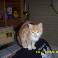 Photo #212681 de Cacahouette