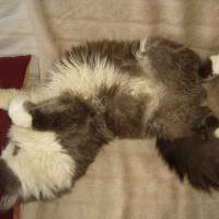 Photo #212682 de Booba